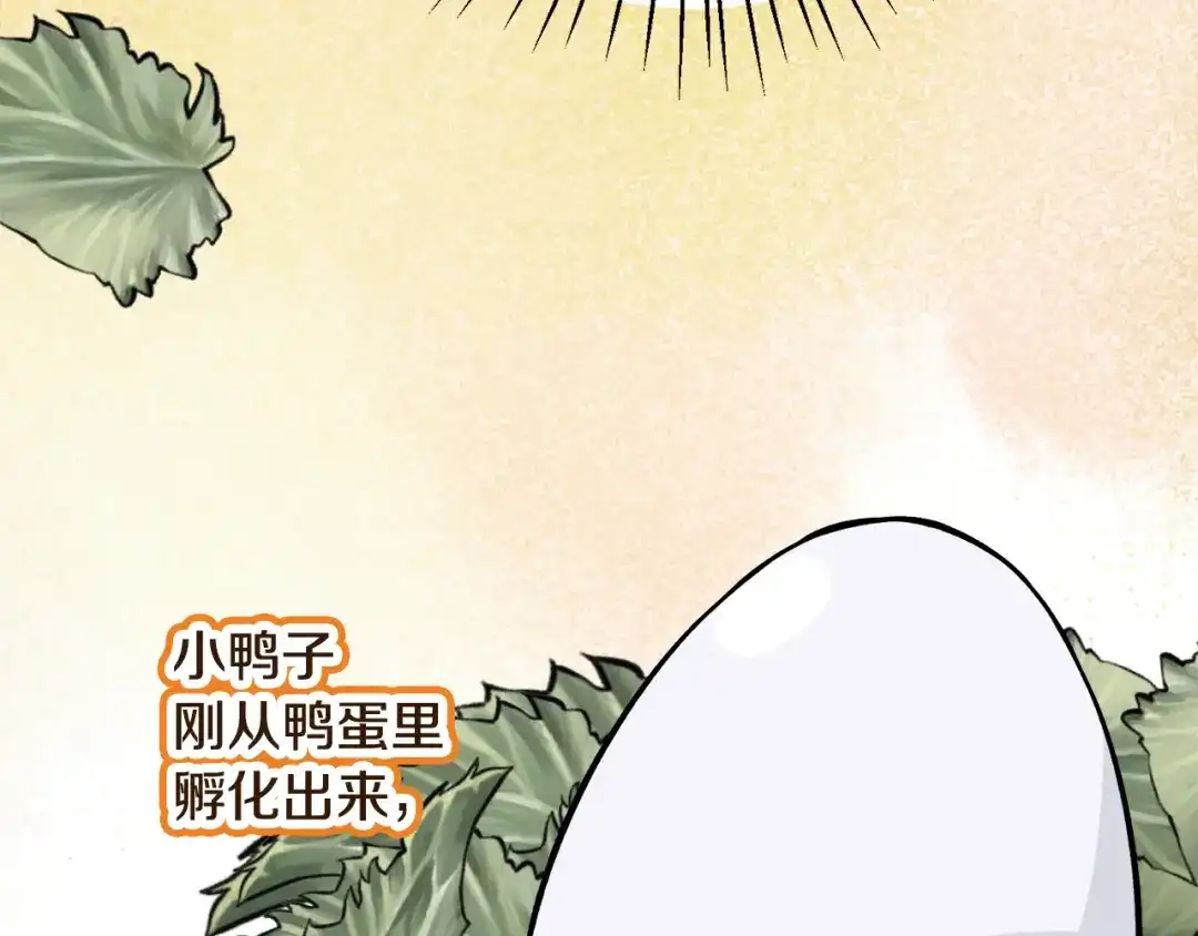 第462页