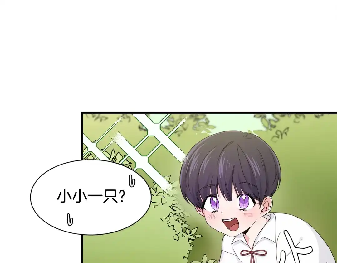 第234页