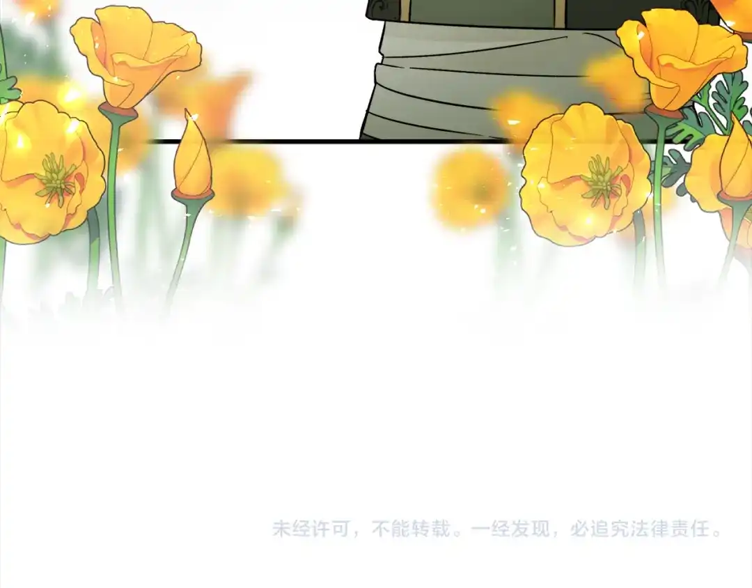 第511页
