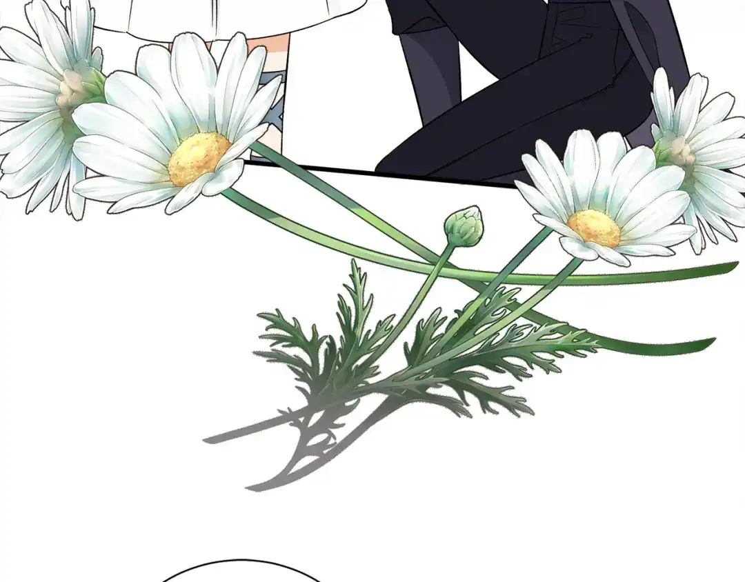 第419页