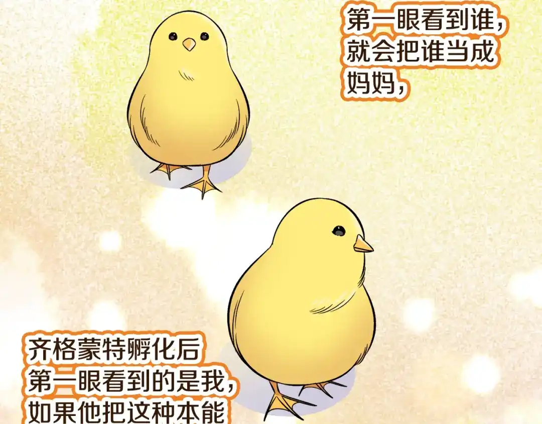 第471页