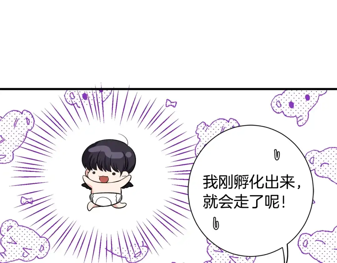 第243页