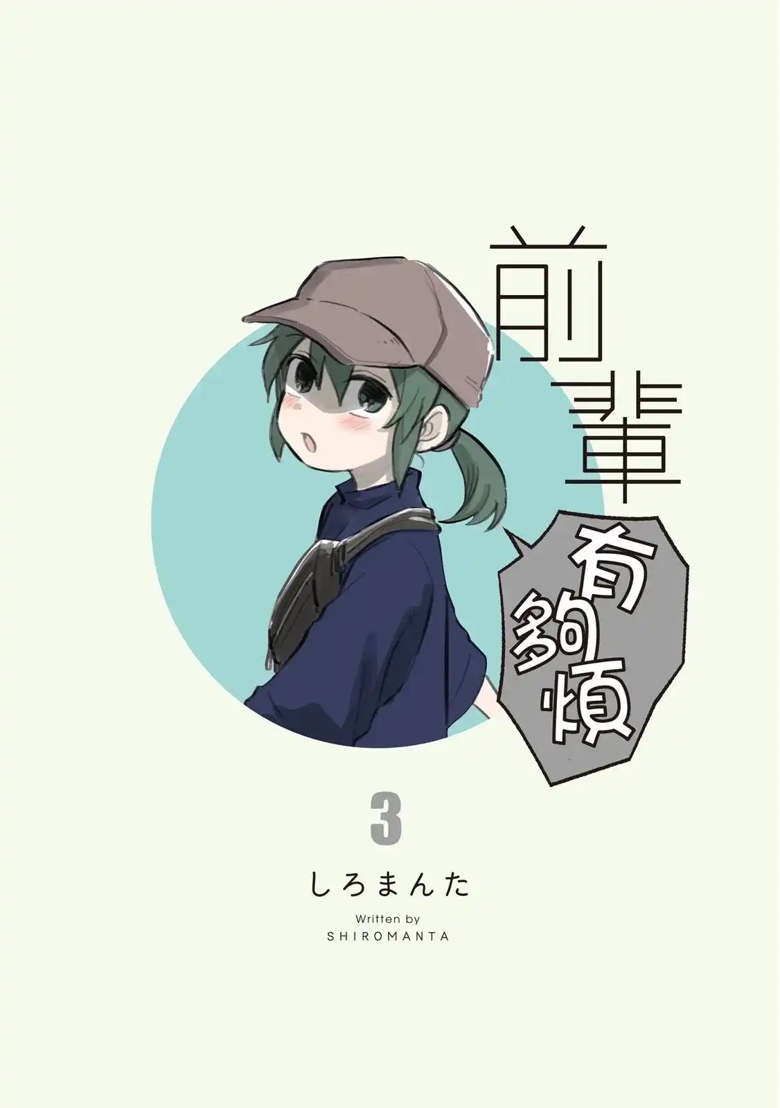 第3页