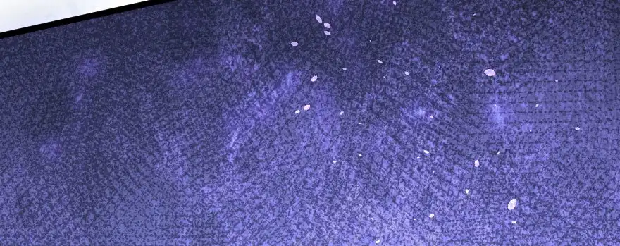 第188页