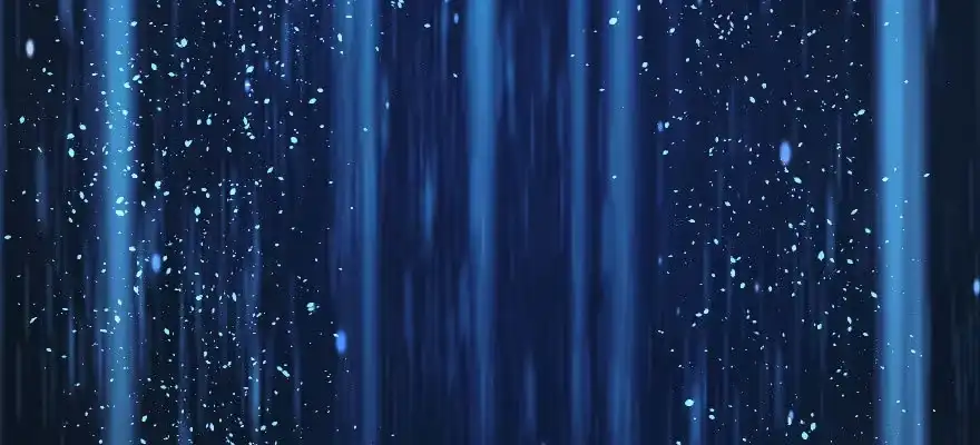 第137页