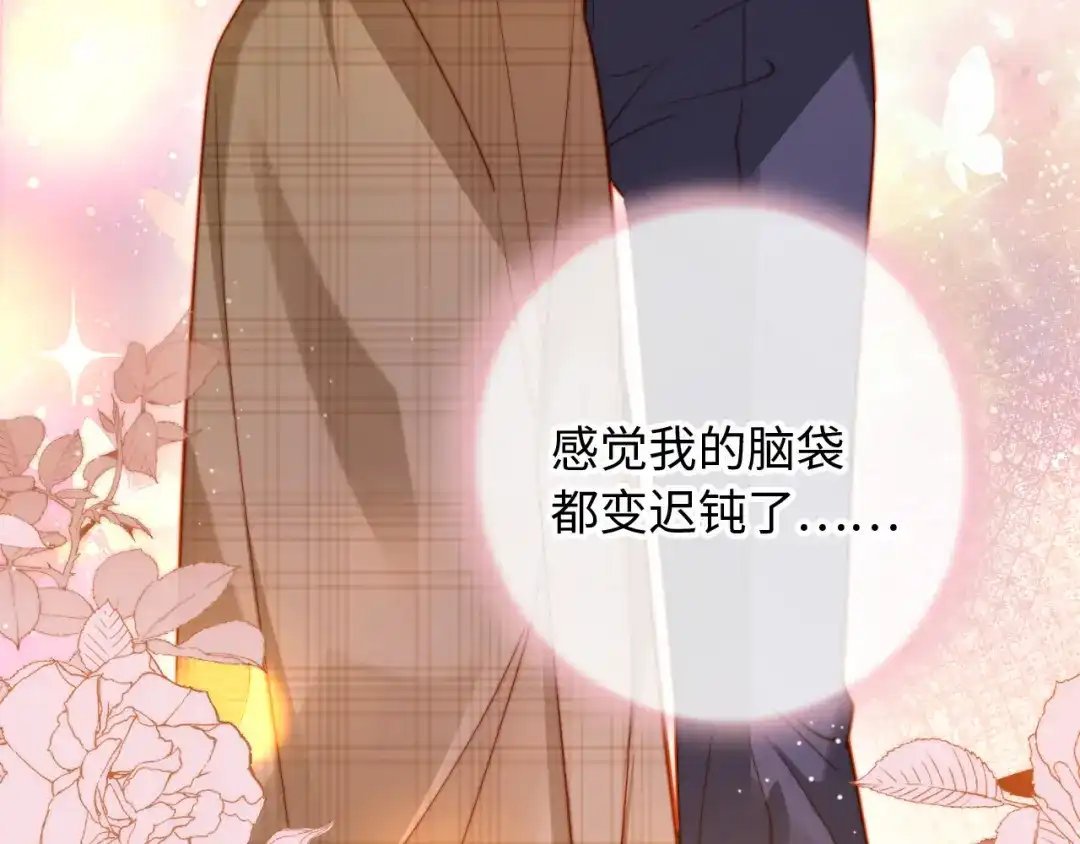 第255页