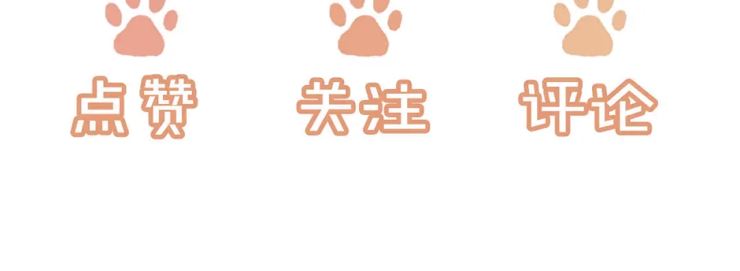 第312页