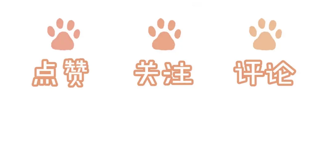 第224页