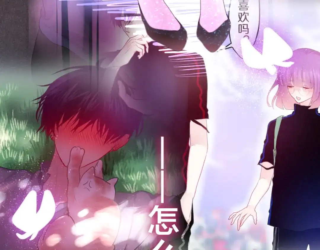 第146页