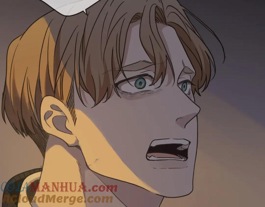 第197页