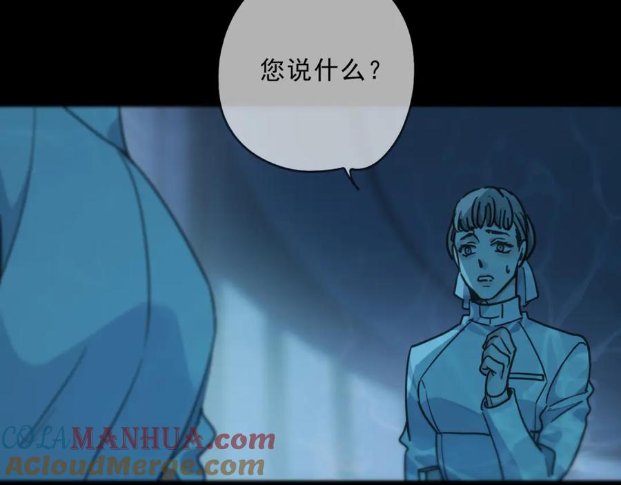 第205页