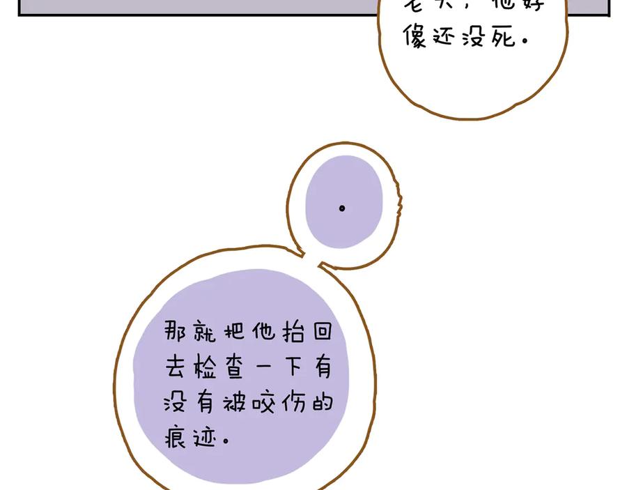第243页