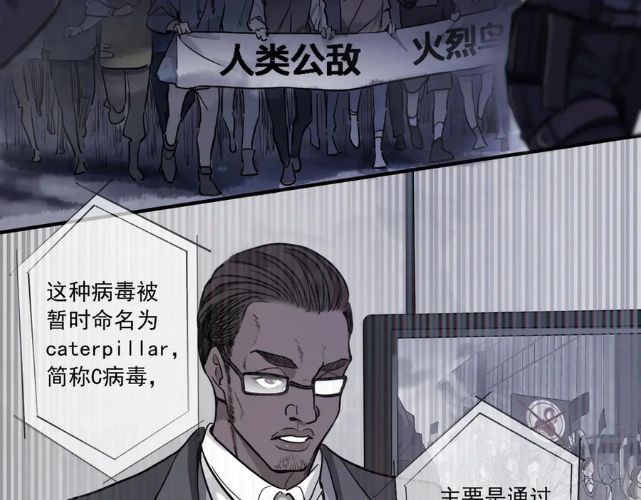 第204页