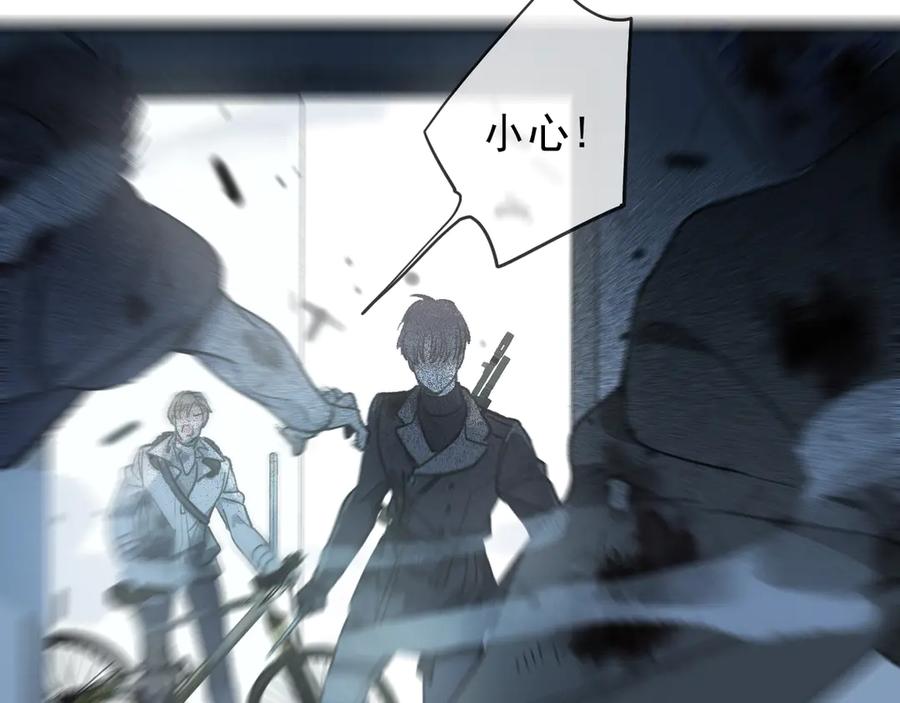 第204页