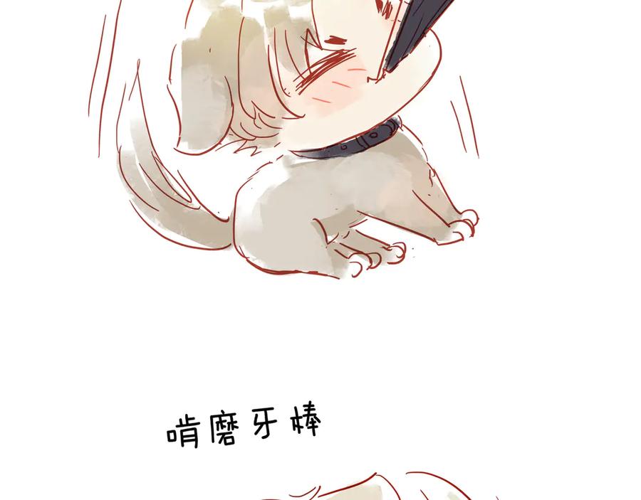 第251页