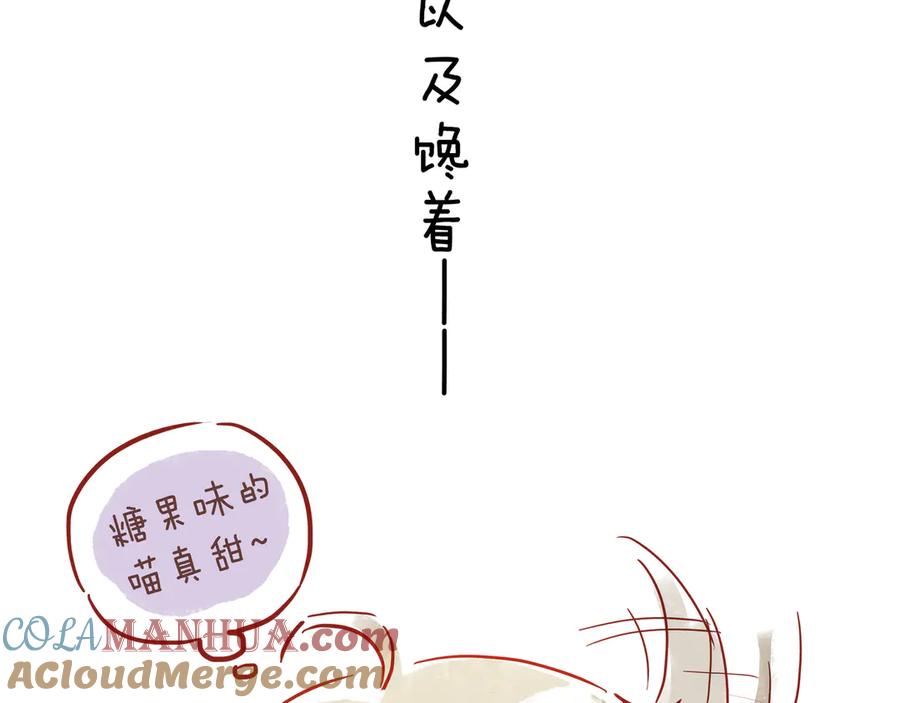 第253页