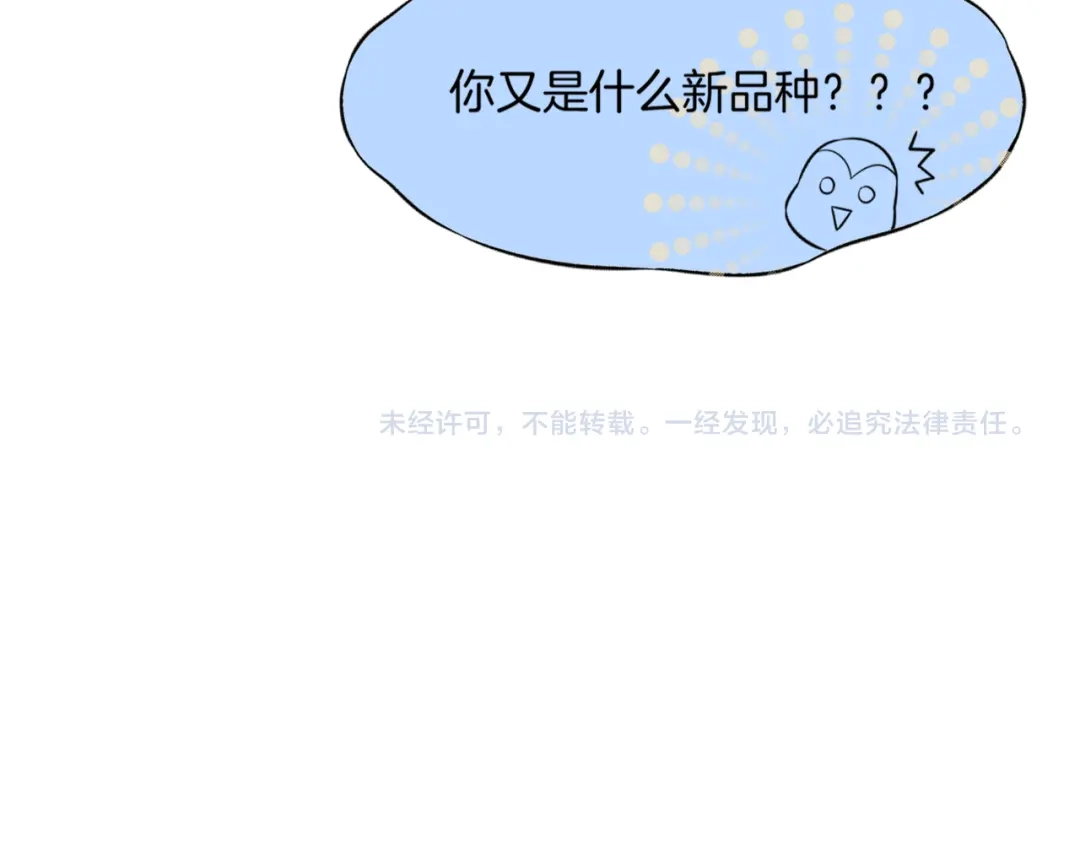 第205页