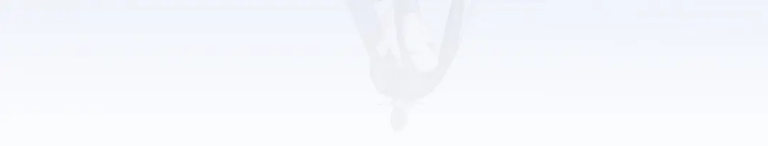 第224页