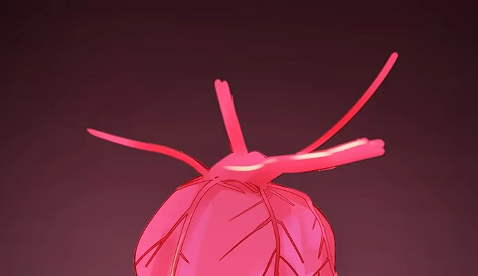 第181页