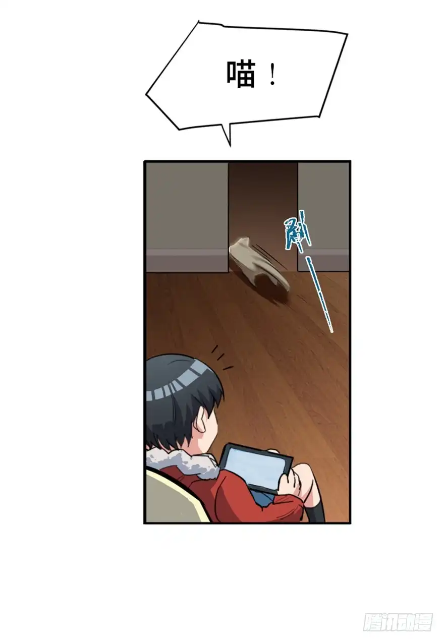 第47页