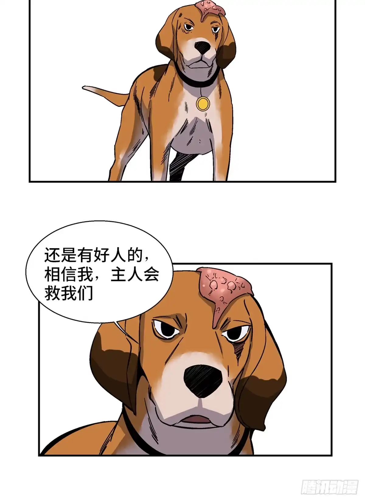 第34页