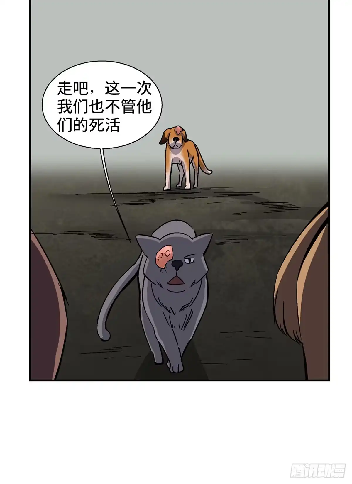 第43页