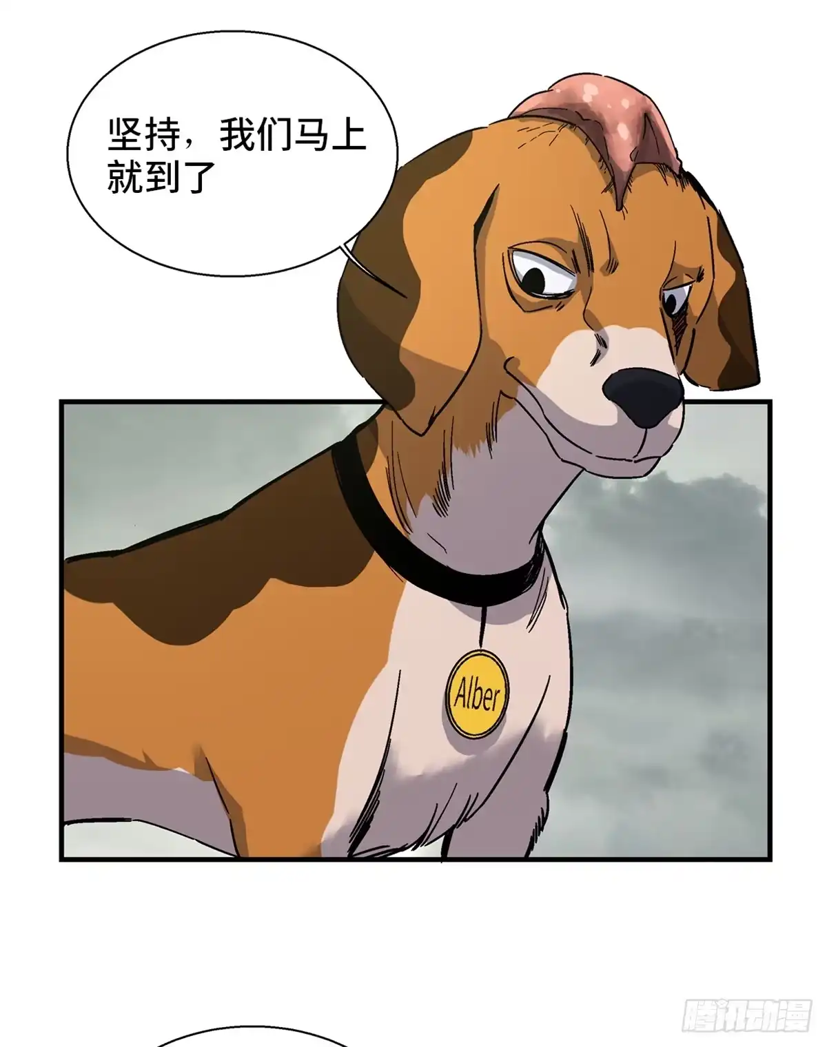 第6页