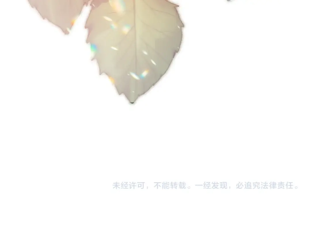 第238页