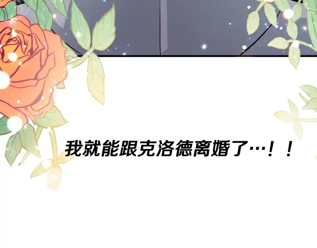 第229页