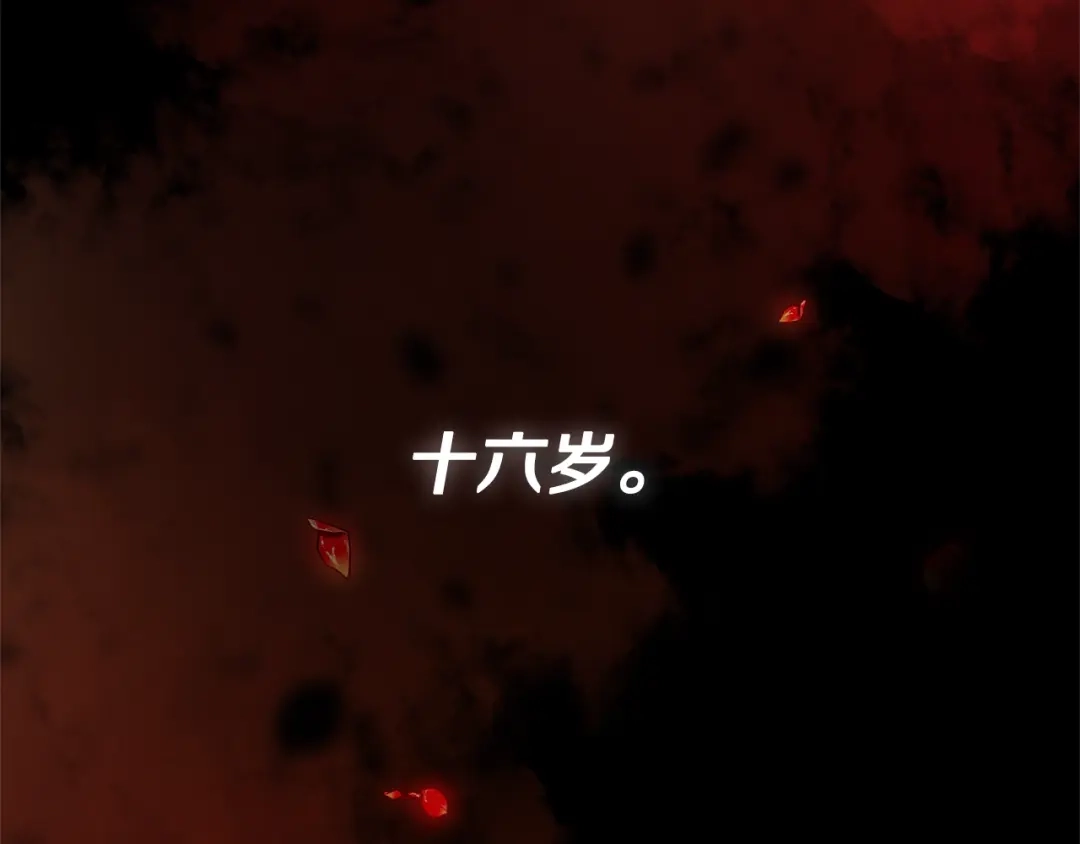 第161页