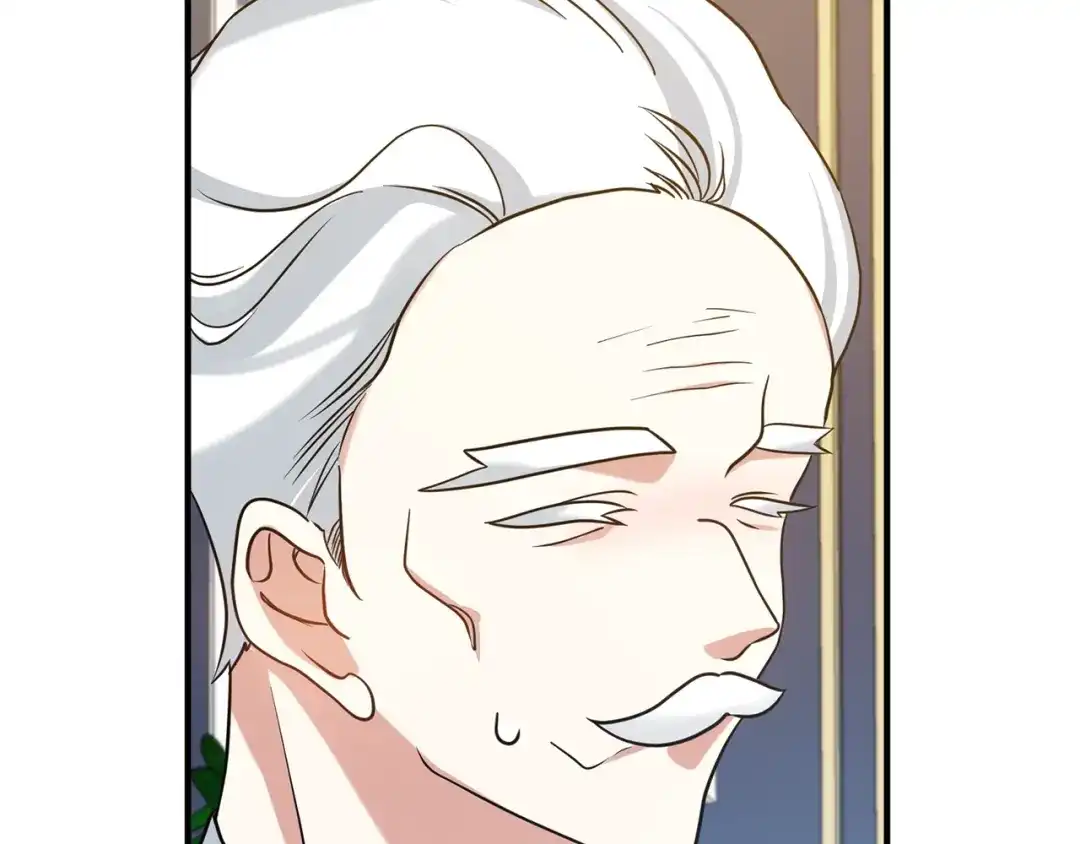第242页