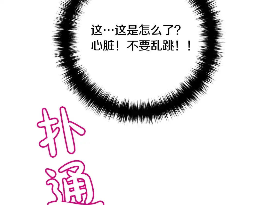 第217页