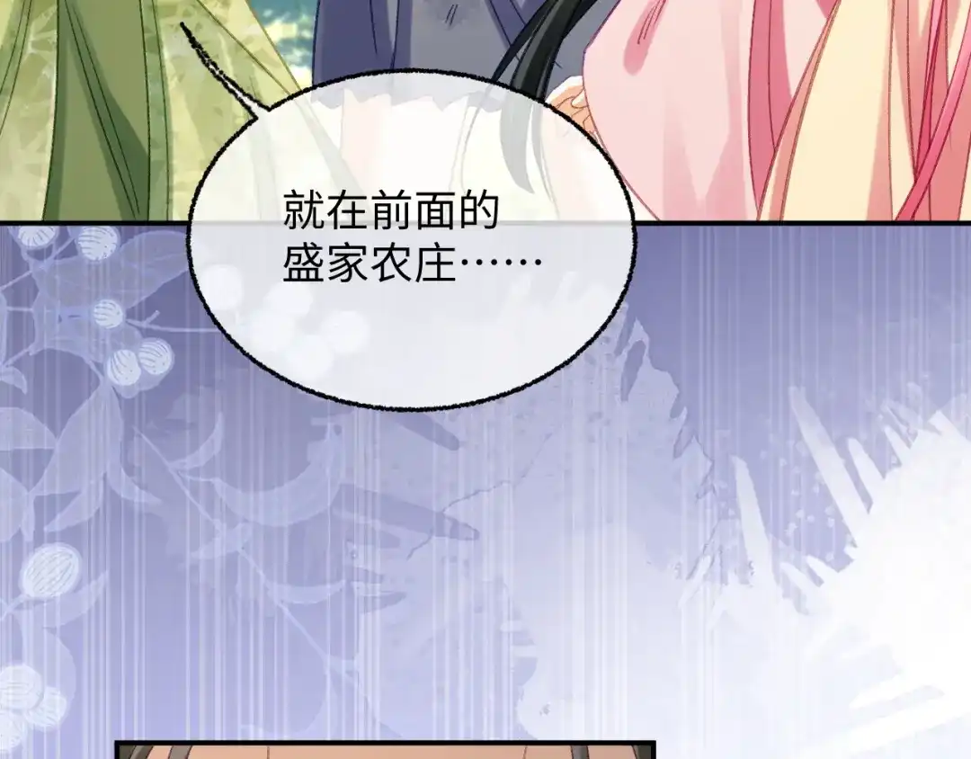 娘亲，团子知错了 029 盛家农庄 第105页