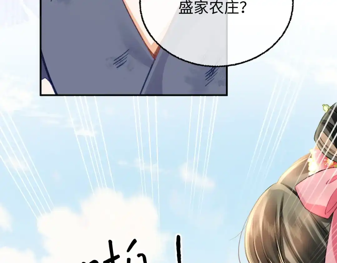 娘亲，团子知错了 029 盛家农庄 第107页