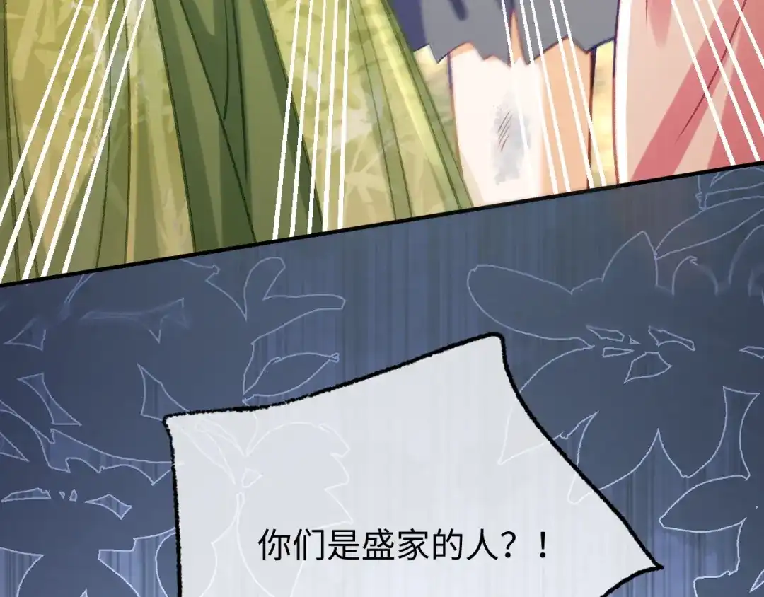 娘亲，团子知错了 029 盛家农庄 第110页