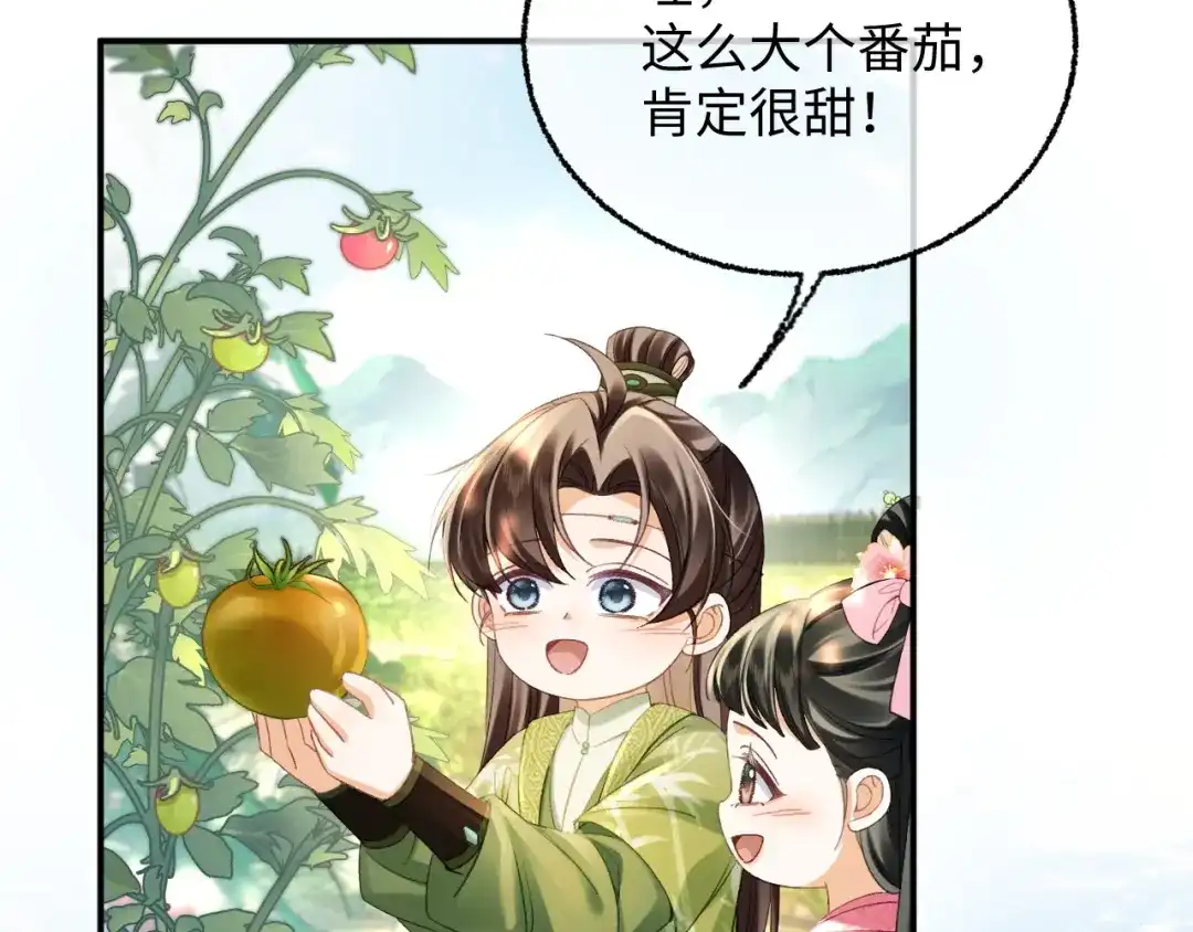 娘亲，团子知错了 029 盛家农庄 第45页
