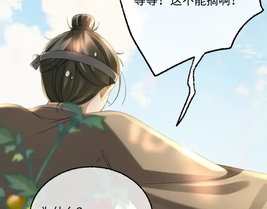 娘亲，团子知错了 029 盛家农庄 第47页