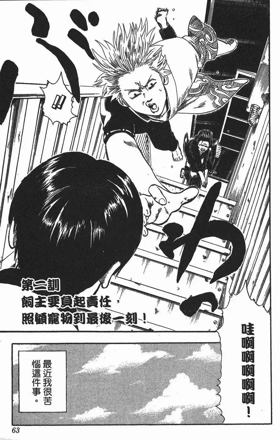 第63页