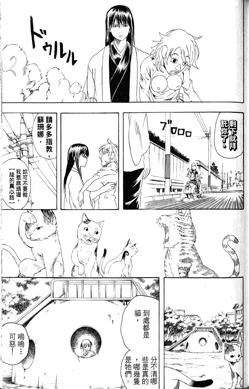 第116页