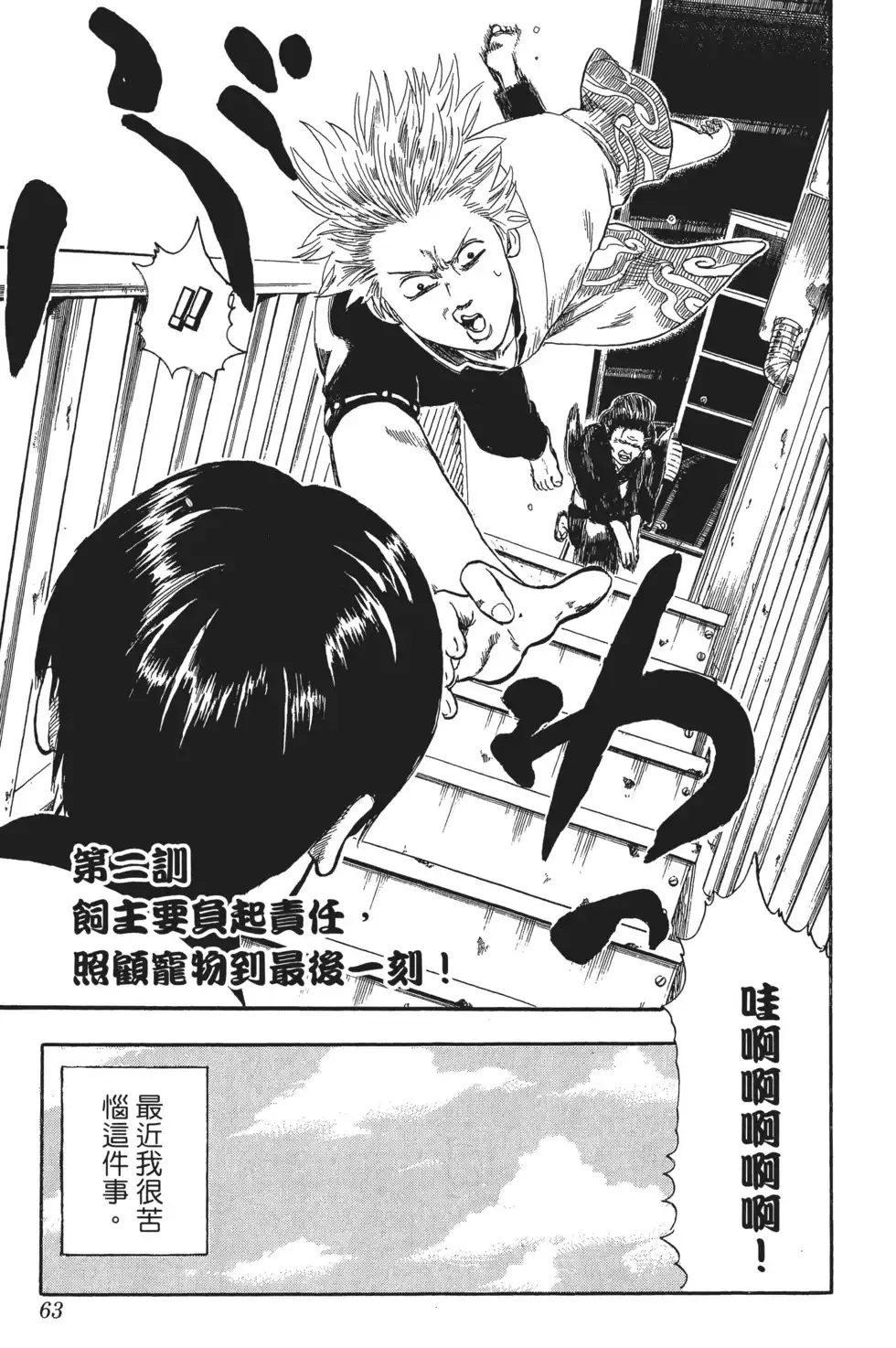 第63页