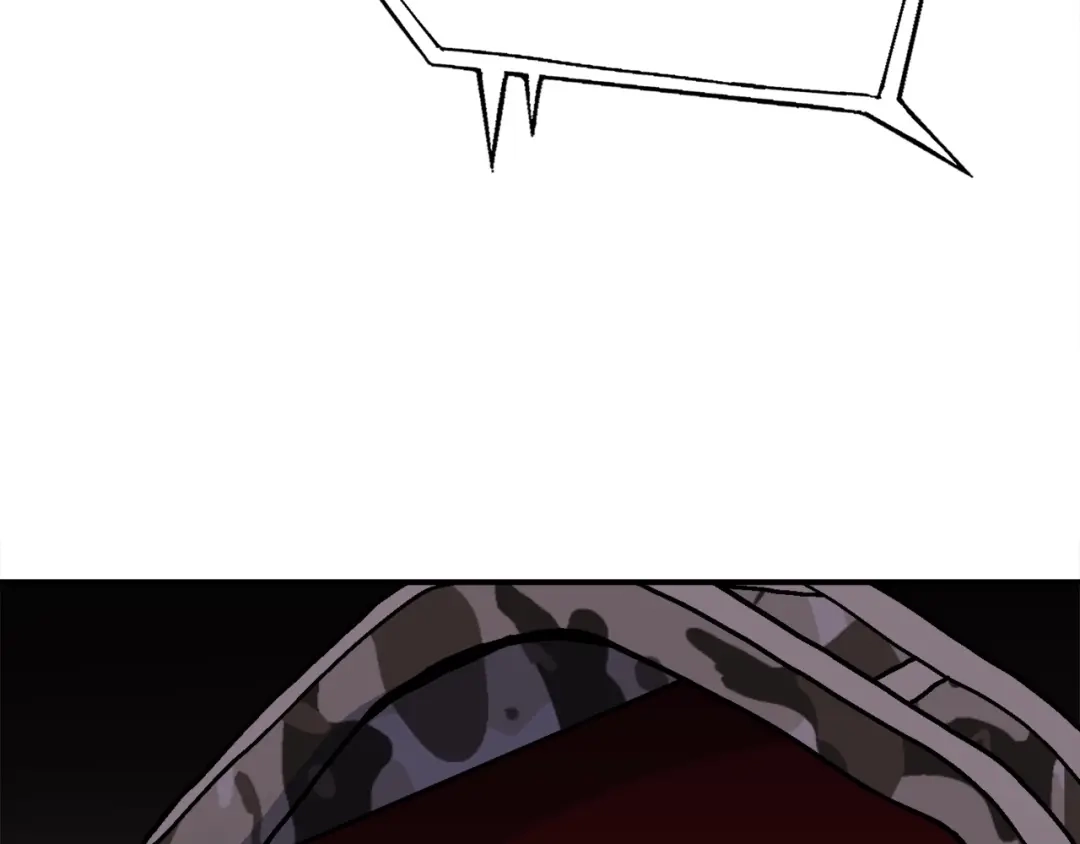 第246页