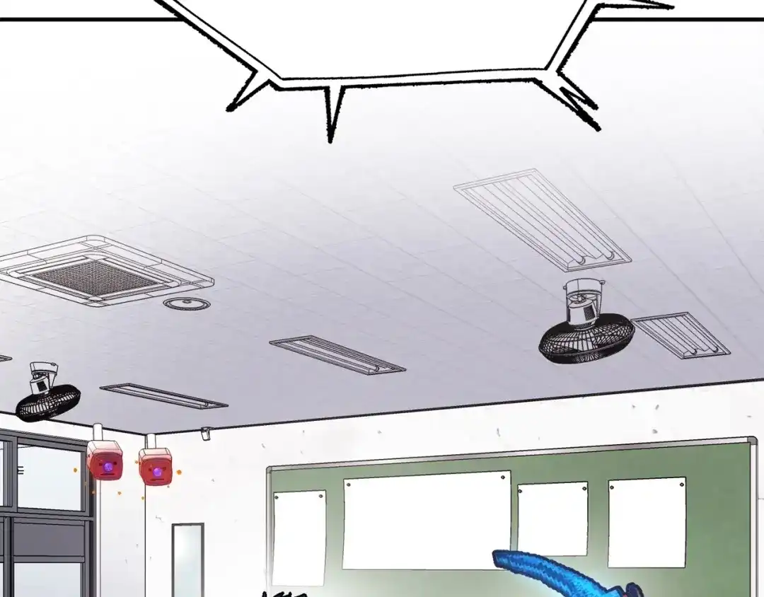 第204页