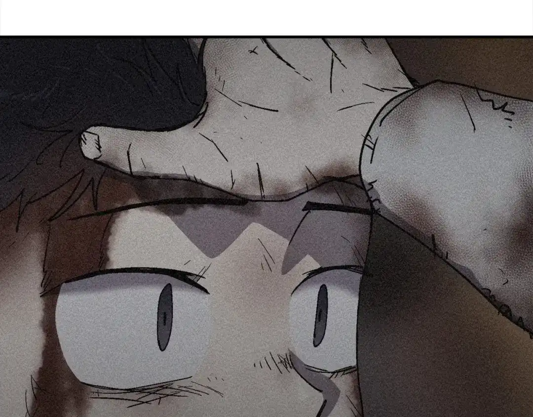 第239页