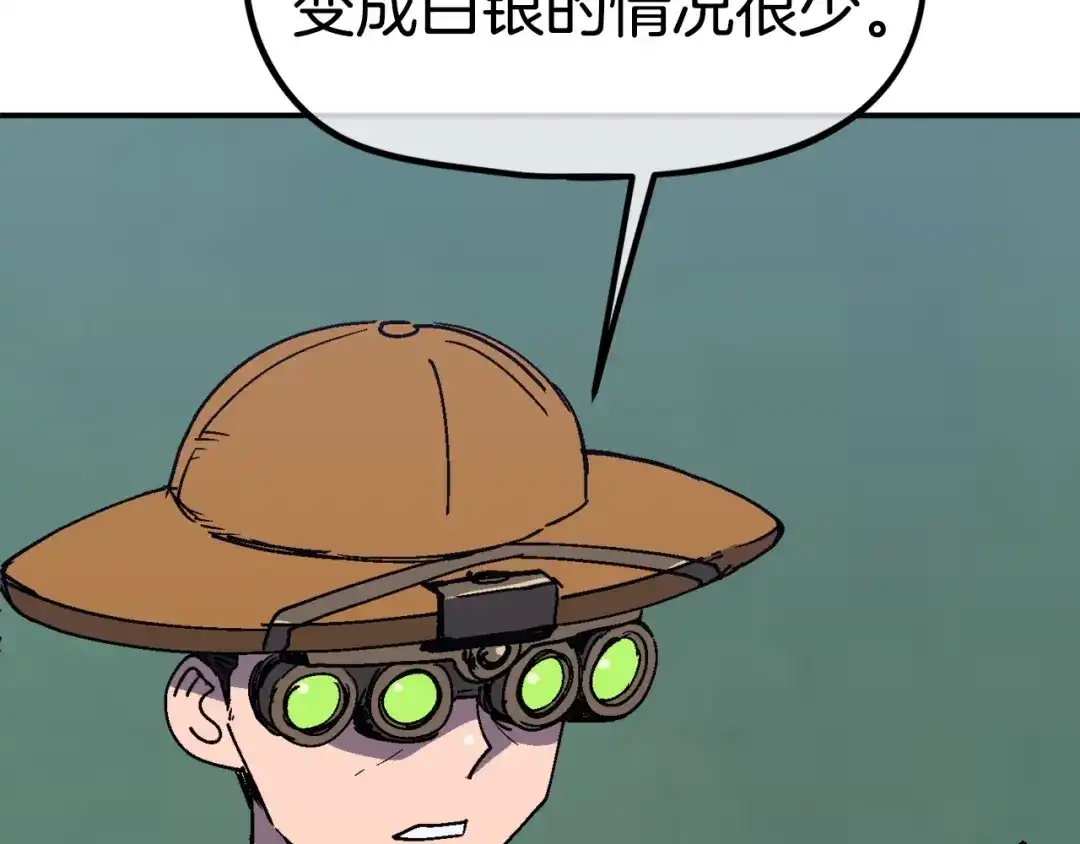 第213页