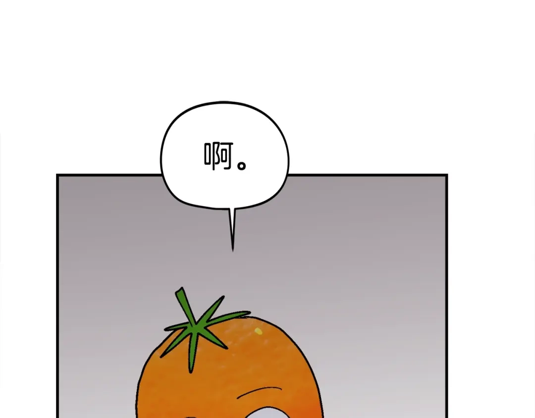 第235页