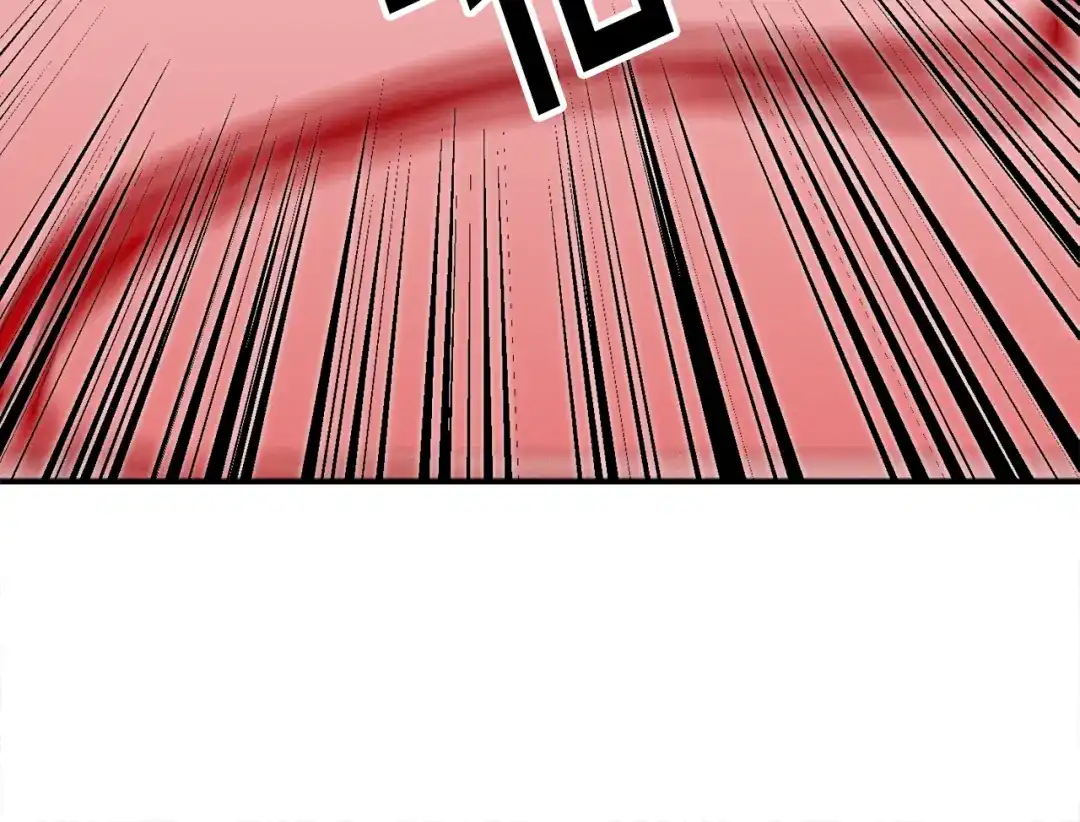 第242页
