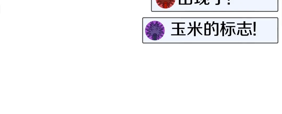 第215页