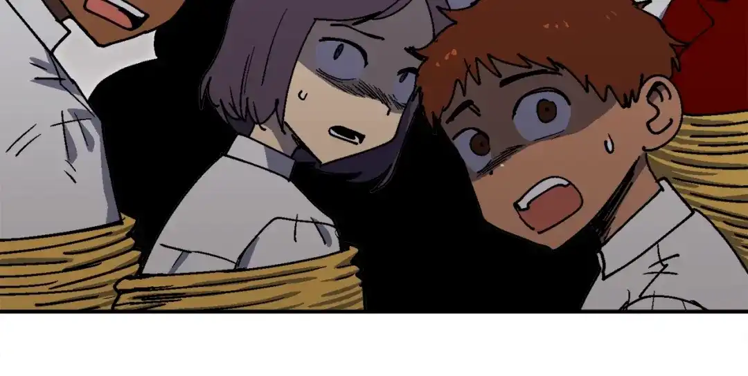 第233页