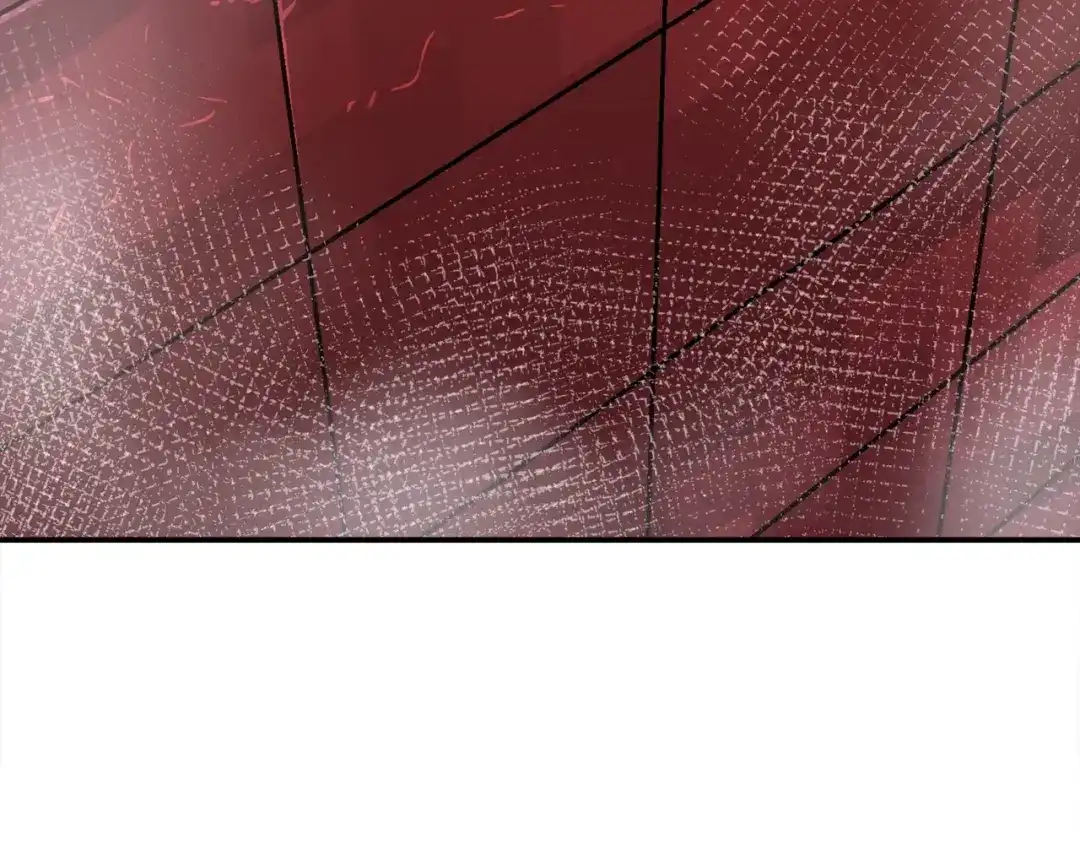 第251页