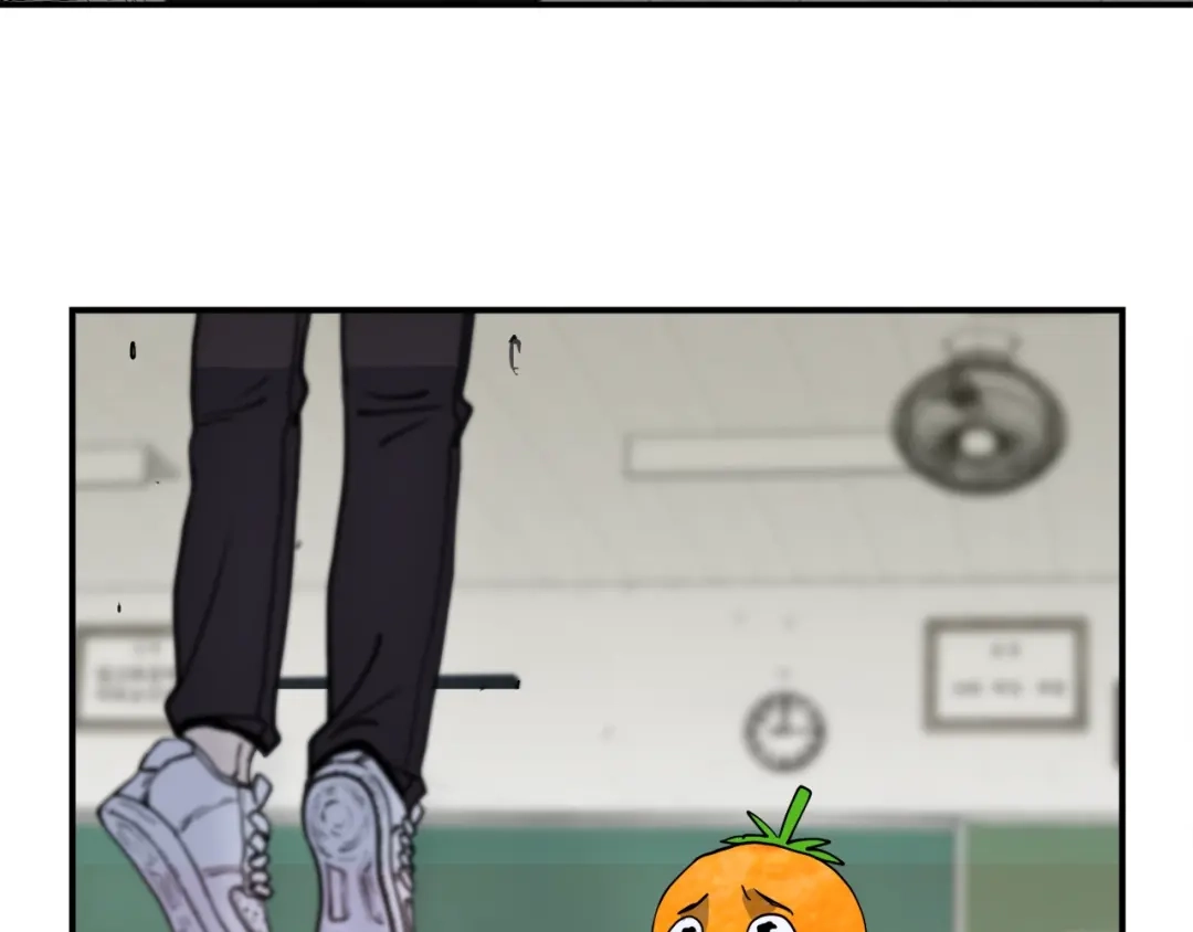 第224页
